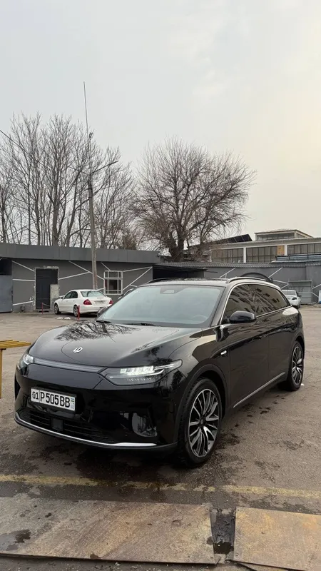Личный водитель со своим авто leapmotor c11