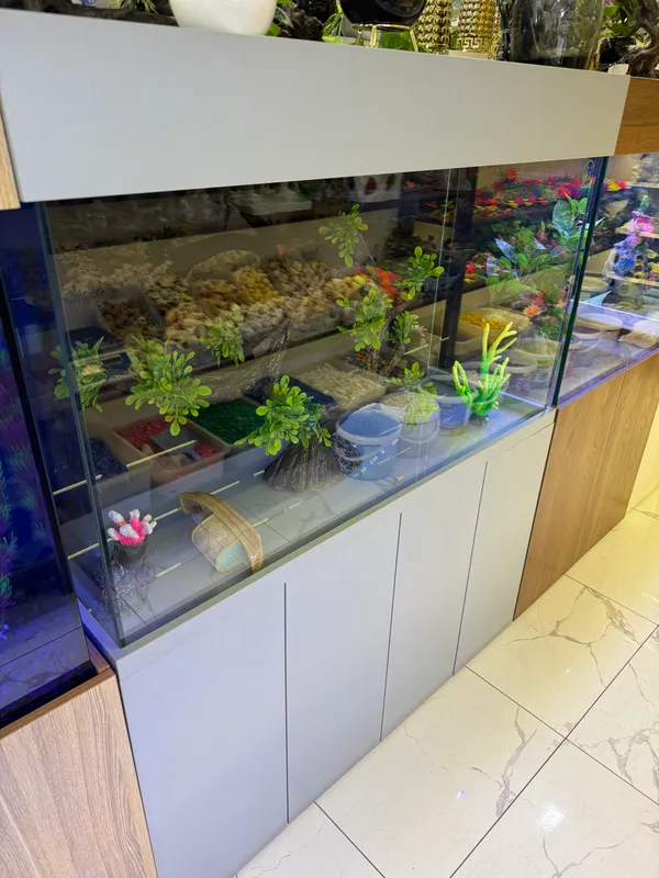 akvarium sotiladi 400 litrli 3 akvarium sotiladi 400 litrli 3