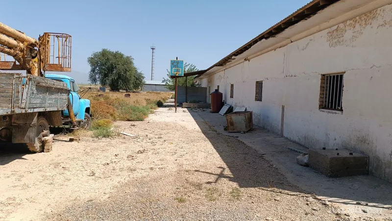 Chirchiqda ferma, 3 gektar 4