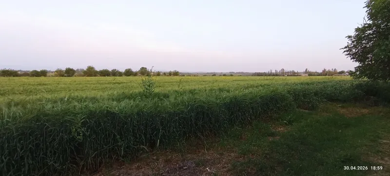 Срочно 3 хонали 6.5 соток уй сотилади янги — фото 5 Срочно 3 хонали 6.5 соток уй сотилади янги — фото 5