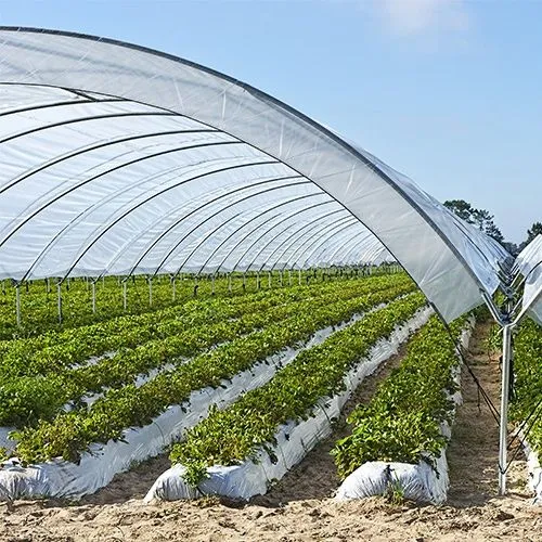 3 sotix (taxminan 300-333 m²) yer uchun issigxona yoylari Sifatli meta 1 3 sotix (taxminan 300-333 m²) yer uchun issigxona yoylari Sifatli meta 1