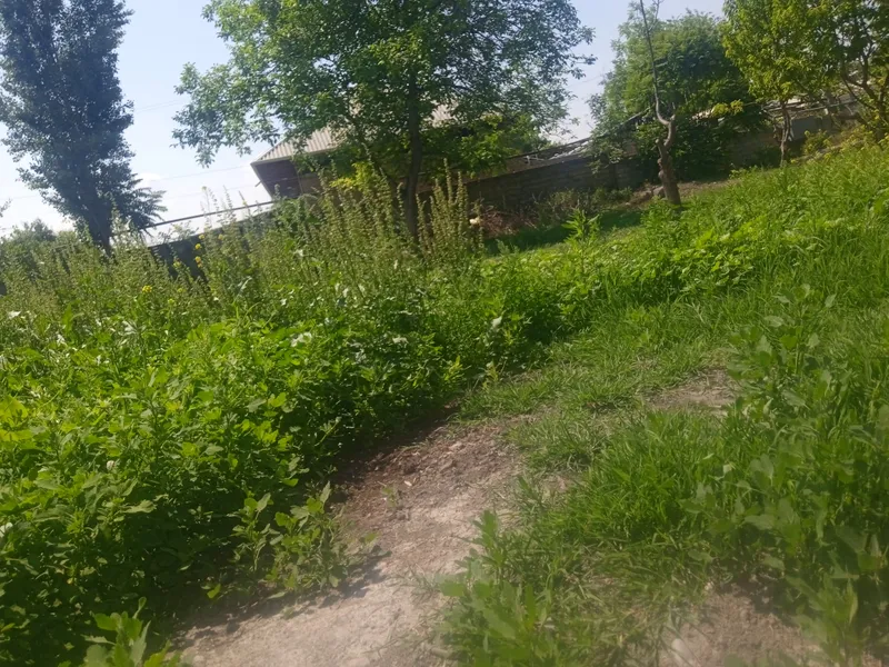 буш ер