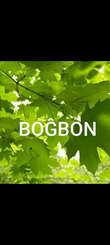boğbon_profi