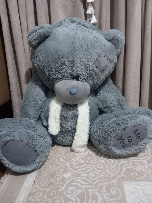 teddy мишка