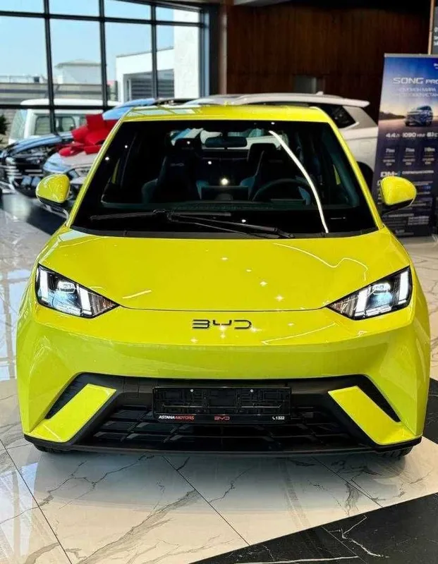 Byd Seagull naxt va halol nasyaga 1