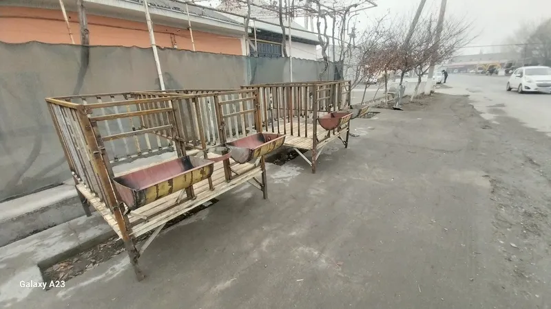 Qoyxonalar mol qoy uchun oxirlar kataklar va quyknxknakar