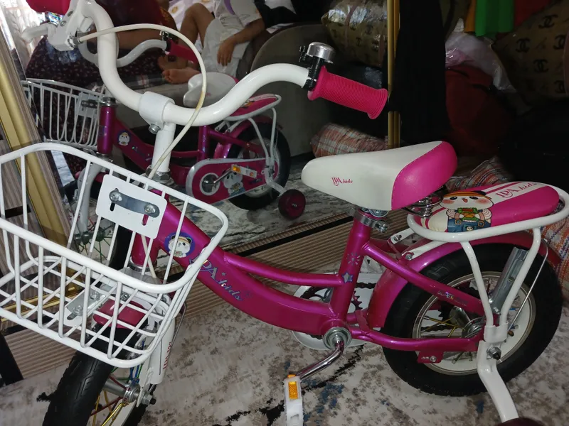 velosiped qizaloqlarniki