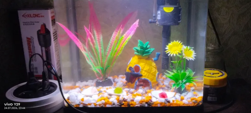 Akvarium sotiladi 1