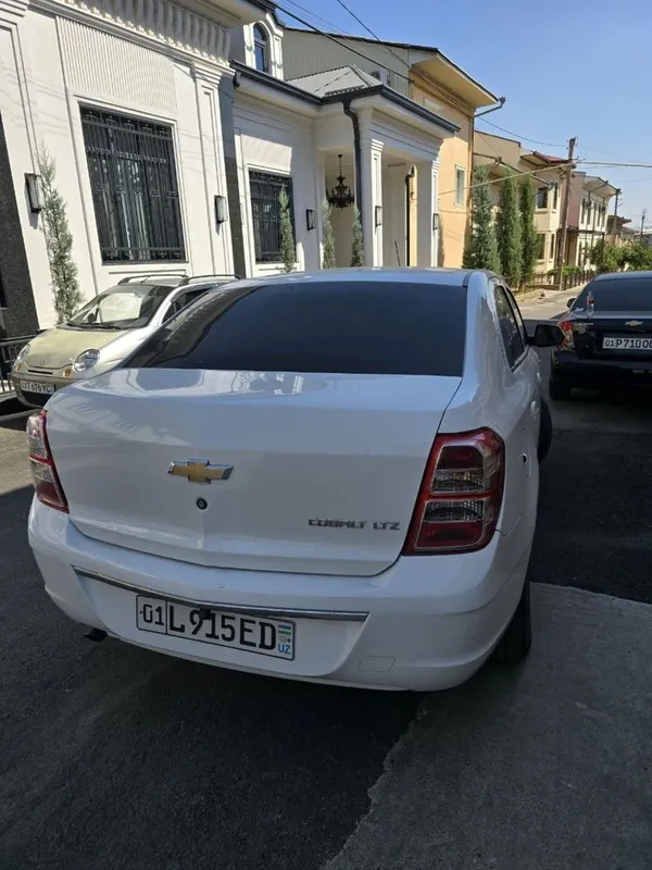 Cobalt 2023 Toza 3 Cobalt 2023 Toza 3