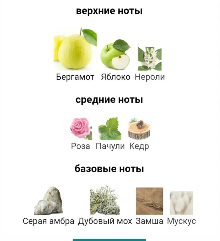 GERINI FRESH BERGAMOUT extrait de parfum — фото 2