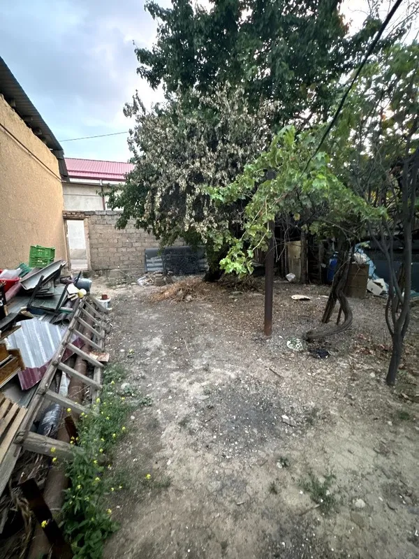 Йер сотилади, Яшнобод туманида 3