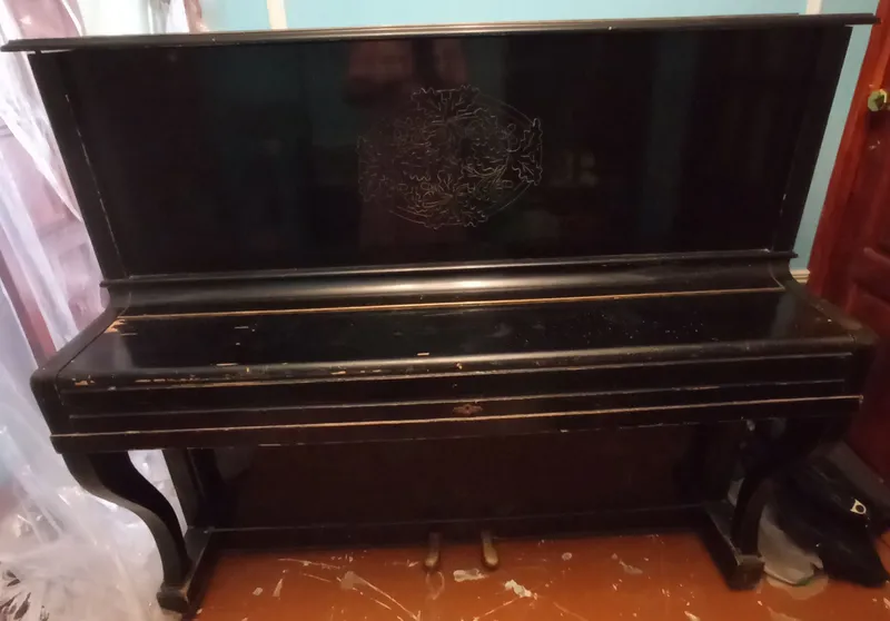 pianino shoshilinch sotaman 5