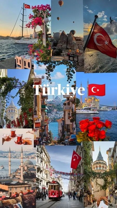 Turk tili kurslari Turk tili kurslari