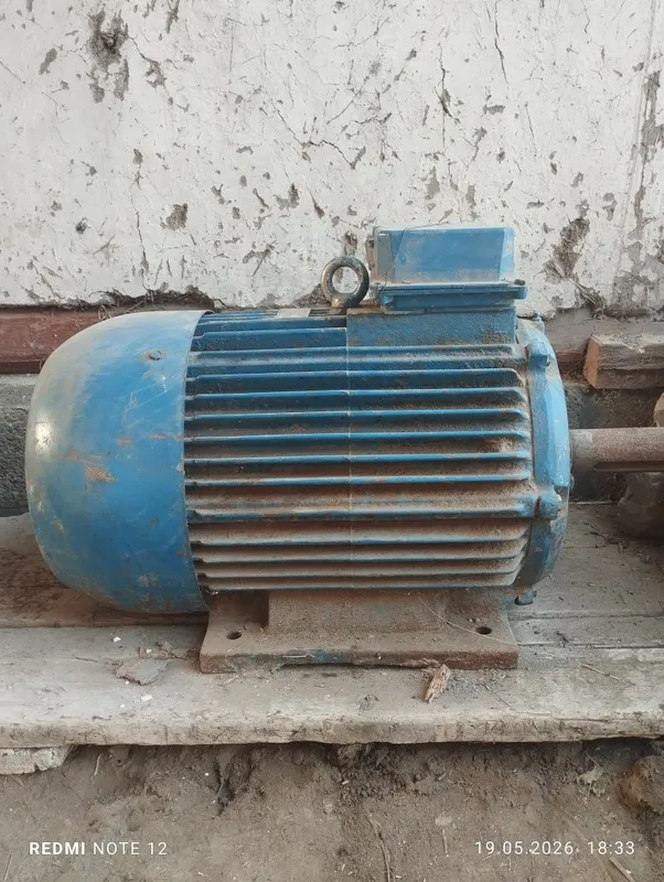Mator sotiladi 30 ga 1000 abarot