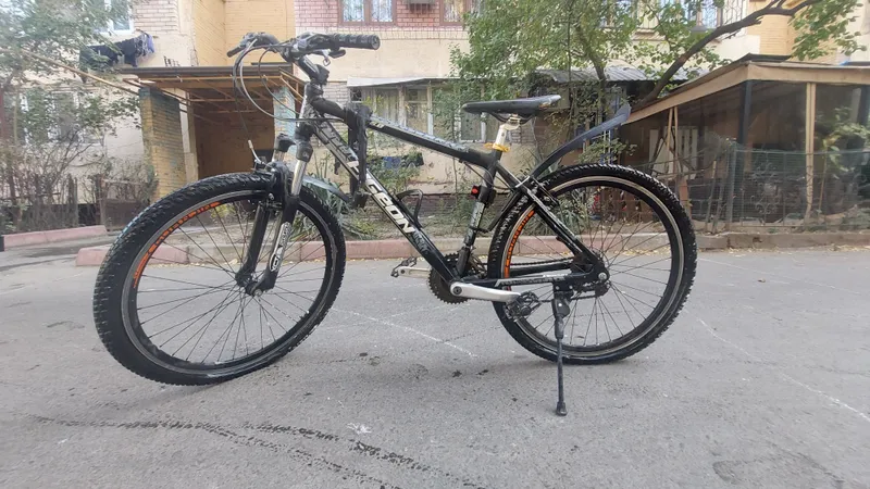 pigion velik 5