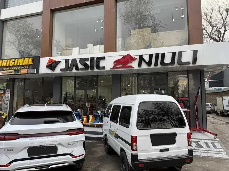 JASIC TIG250S W221 Muddatli to'lovga 3-6 oy boshlang'ich to'lovsiz — фото 2