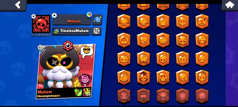 brawl akkaunt 1
