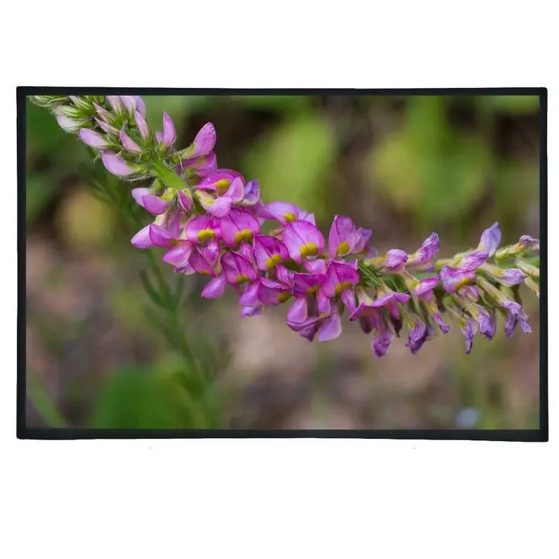 Телевизор SHIVAKI TV LED 40/A9000 1 Телевизор SHIVAKI TV LED 40/A9000 1