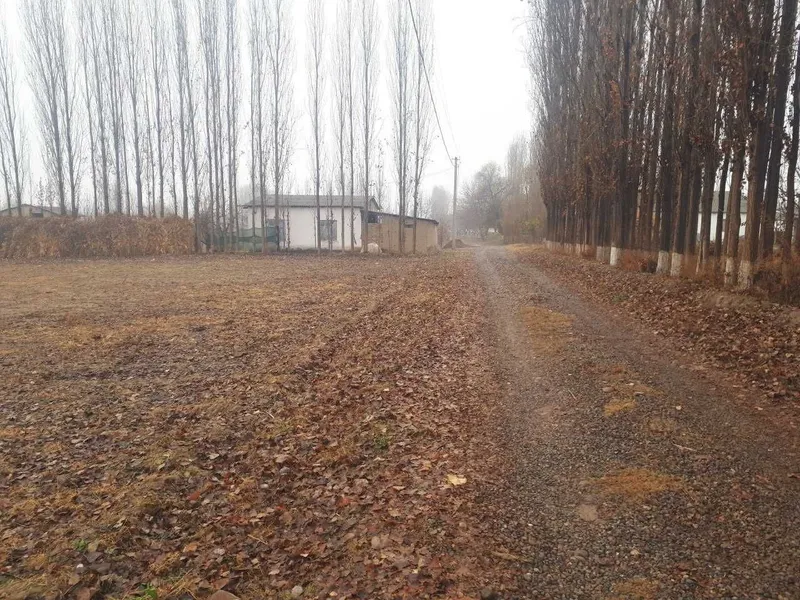 Учаска ер сотилади — фото 1