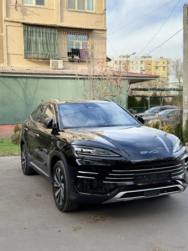 Byd chempion Dm-i