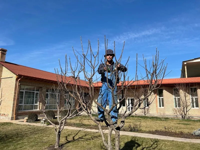 Богбон Садовник ,Gardener 5 Богбон Садовник ,Gardener 5