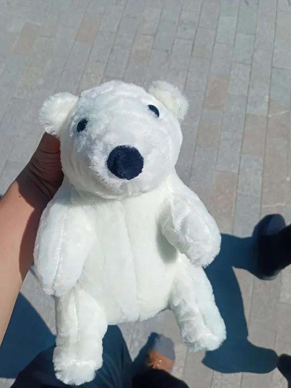 oq ayiq 15.00 ming som 1 oq ayiq 15.00 ming som 1