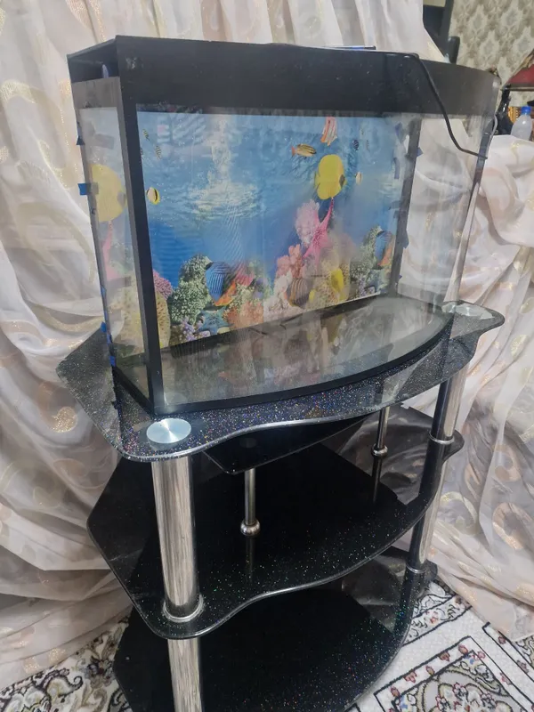 Shisha taglikli akvarium 4 Shisha taglikli akvarium 4