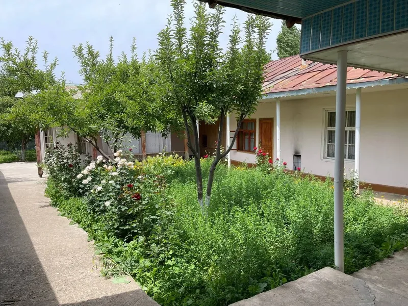 Дом в горах с участком - свежий воздух, Богистон — фото 6