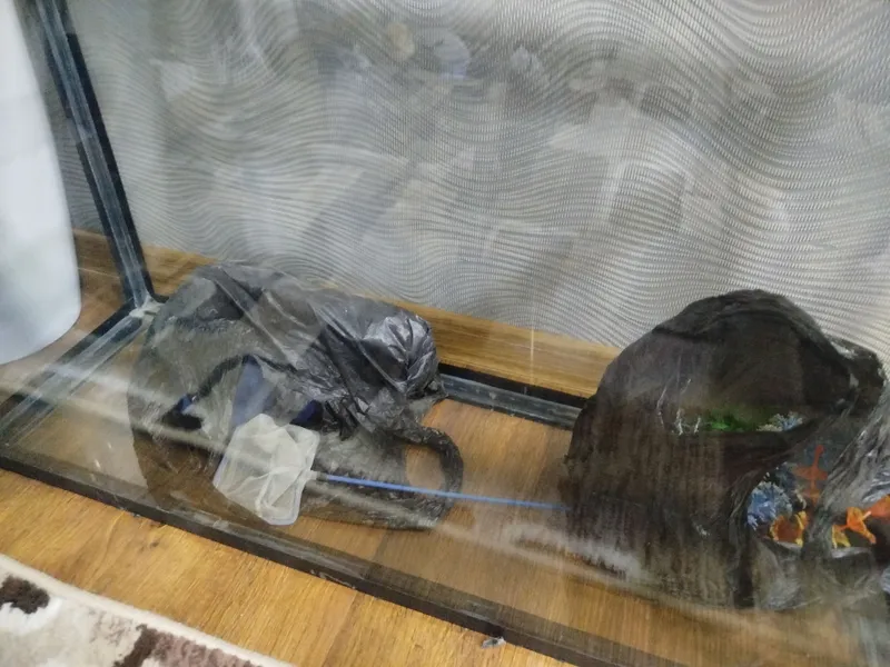 Продаётся аквариум 1