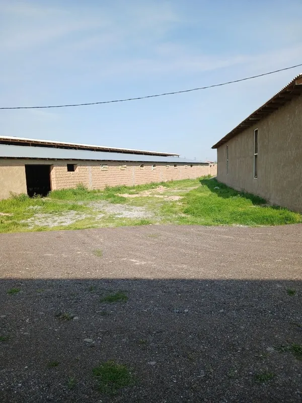 Срочно продаётся производство площадью 1,5-гектар — фото 4