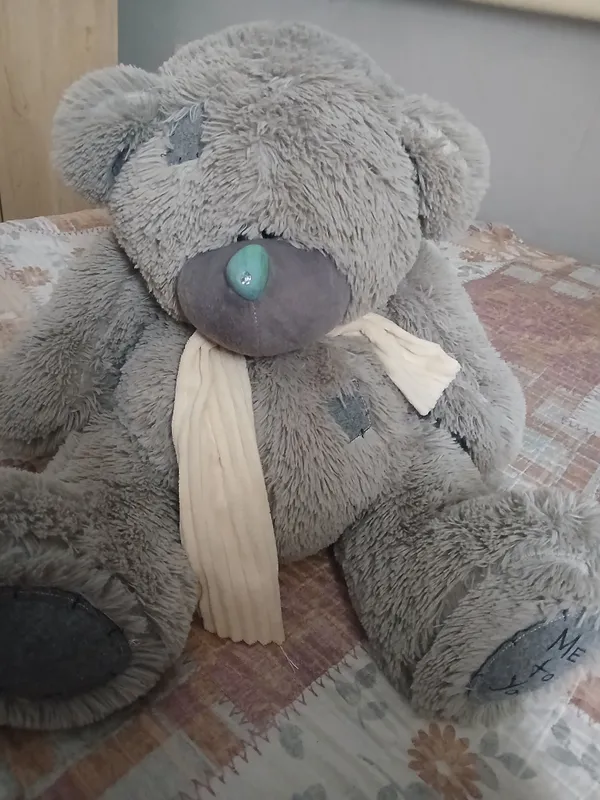 Teddy