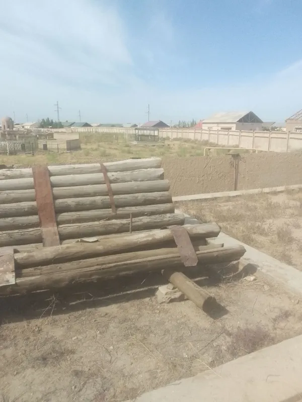 Агаш карагаш российский таза хам АК Терек. Таза . Шыккан емес. — фото 2