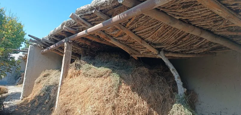 Качественное сено из люцерны по низкой цене 6 Качественное сено из люцерны по низкой цене 6