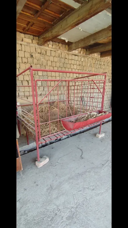 Qo'yxona sotiladi 1 Qo'yxona sotiladi 1
