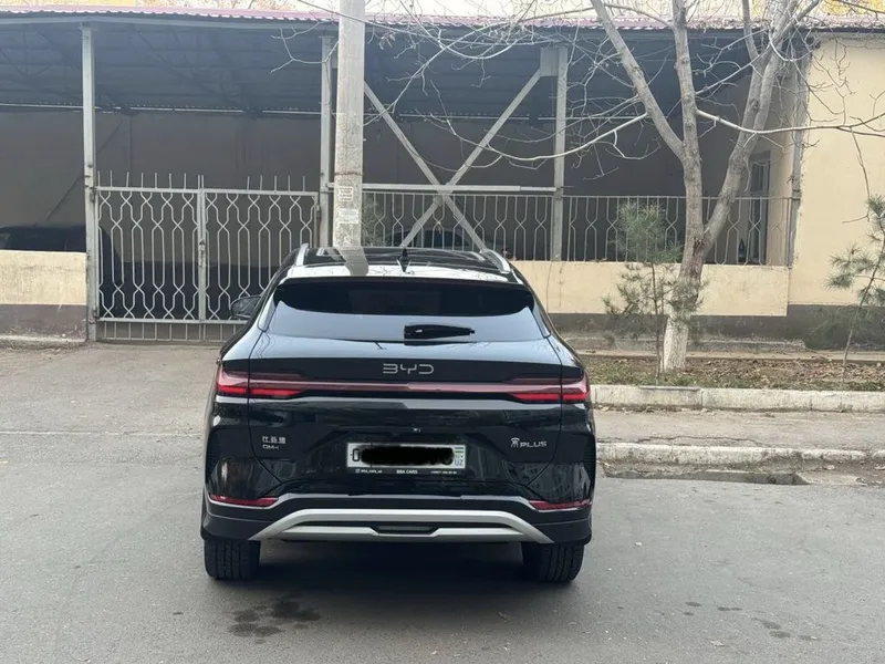 BYD Champion Gibrid 150 km (Full) — фото 3