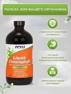 NOW Foods Liquid Chlorophyll, xlorofill, xlorofil, xlorofil, xlorafil 3 NOW Foods Liquid Chlorophyll, xlorofill, xlorofil, xlorofil, xlorafil 3