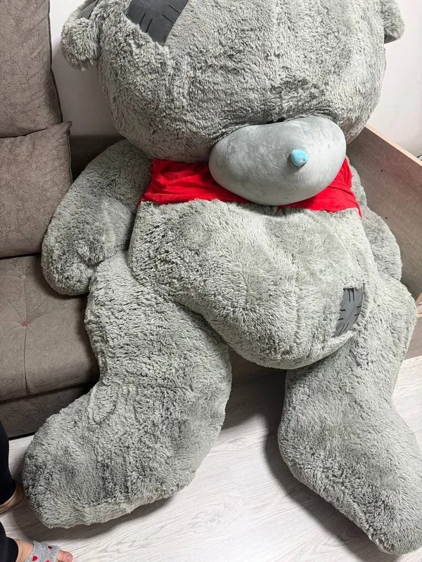 Teddy 3