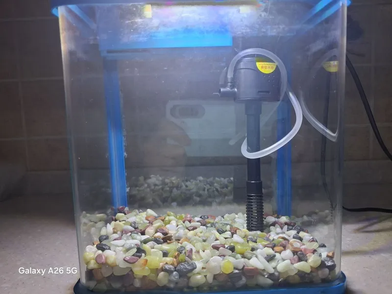 akuvarium 1 akuvarium 1