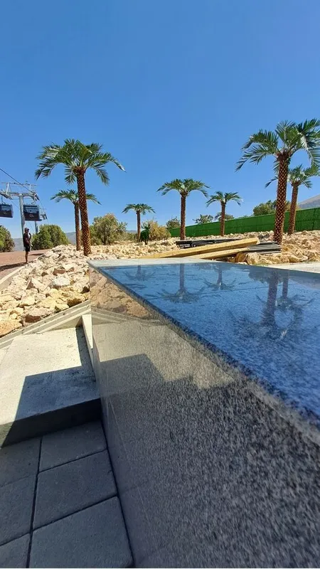 Farg‘onada | Villa/restoran uchun lux suniiy palma 3m–8m — -30% — фото 3
