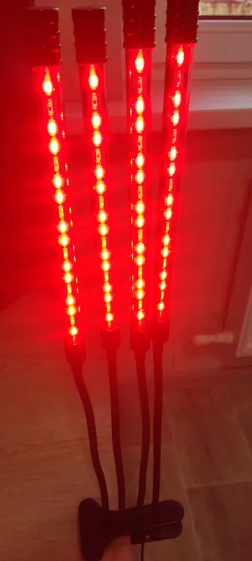 fitolampa sotiladi 3