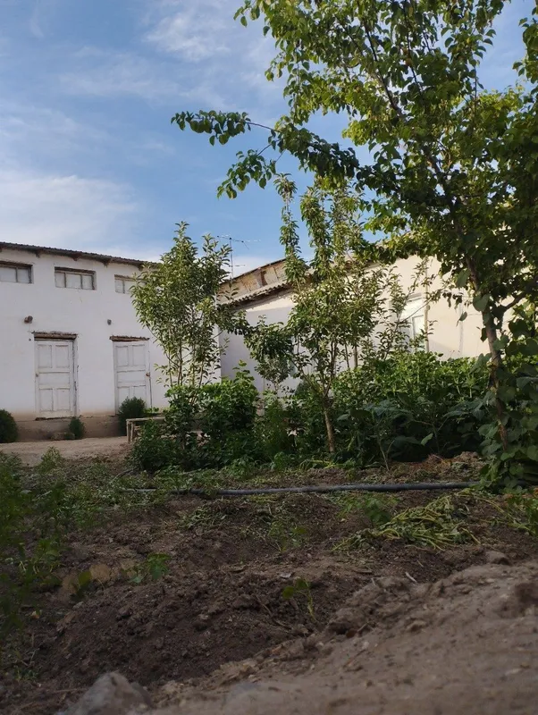 Хожели мясокомбинатта улкен уй сатылады 350 млн — фото 5