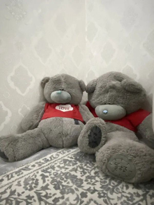 Большие плюшевые мишки Teddy в отличном состоянии 2