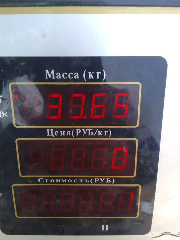 torazi sotiladi 100 ming