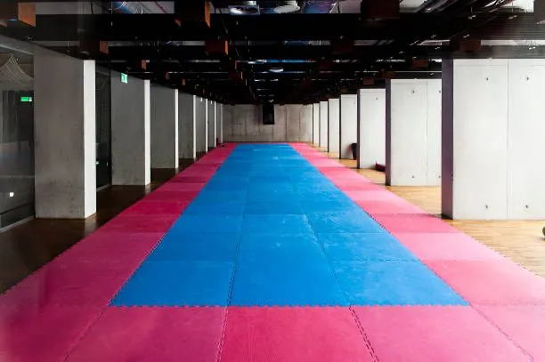 Tatami Mat Arginal SKITKA 2.5 smОригинальный китайский Татами — СКИДКА — фото 3