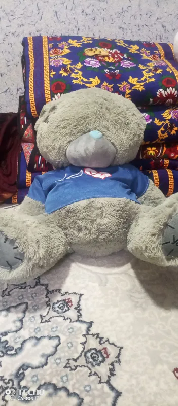 Продаётся Teddy, состояние отличное 1
