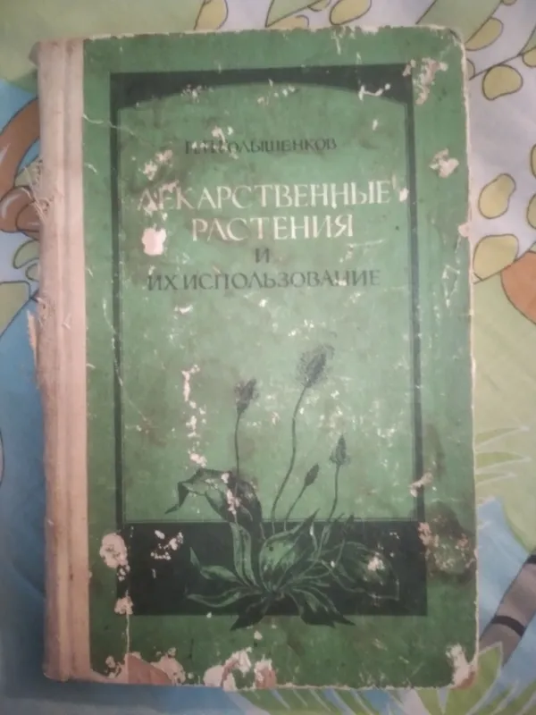 ЛЕКАРСТВЕННЫЕ РАСТЕНИЯ. ЛЕКАРСТВЕННЫЕ РАСТЕНИЯ.