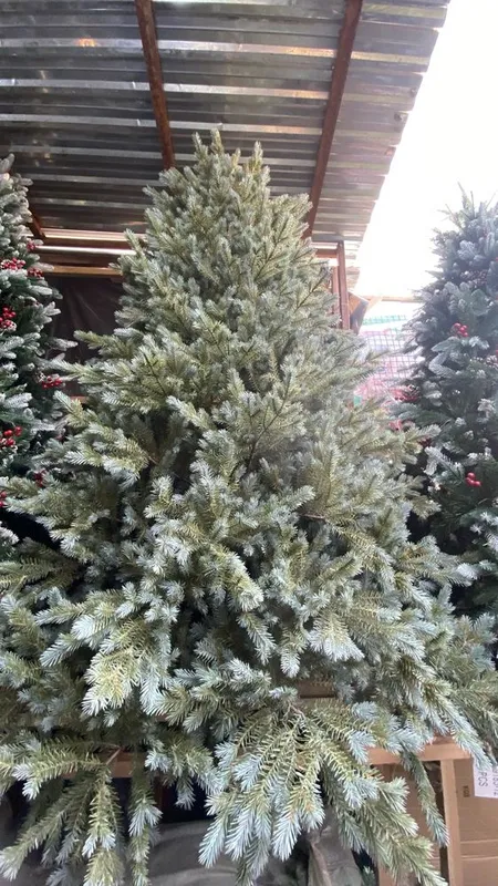 Archa, yangi yil archasi