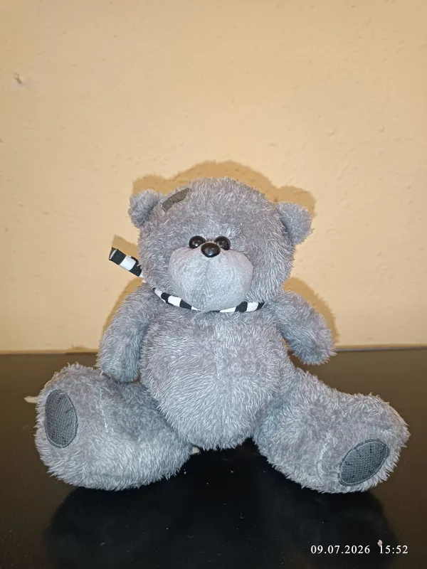 teddy ayiqcha momiq