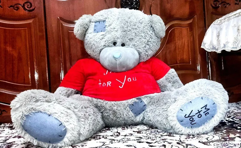 Teddy ayiq