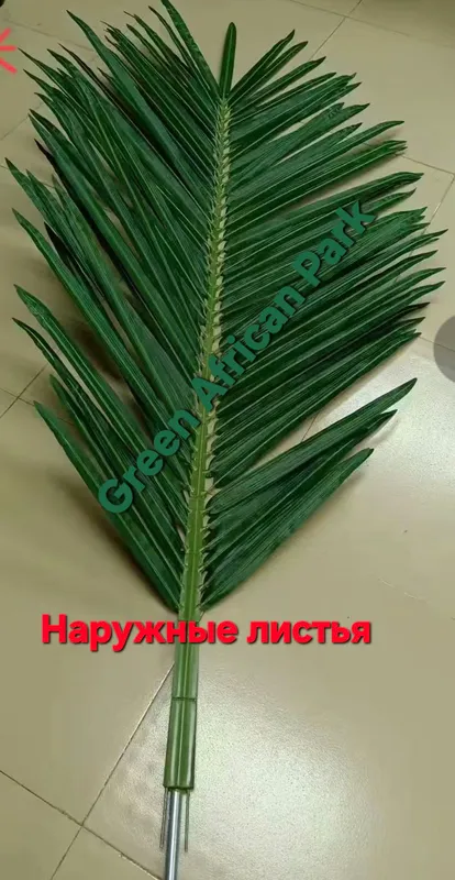 Пальмовые листья palma barglari 3